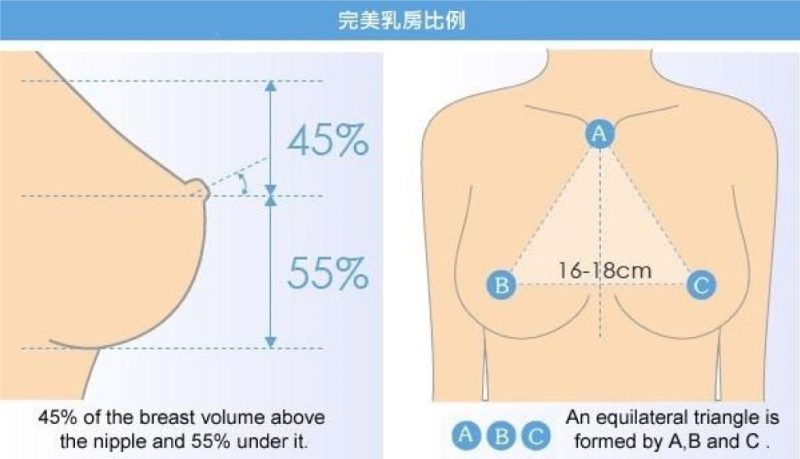 罩杯、弧度、比例？完美乳房的黄金比例 不定时掉落好看的奈子[316P/99M]-JIN